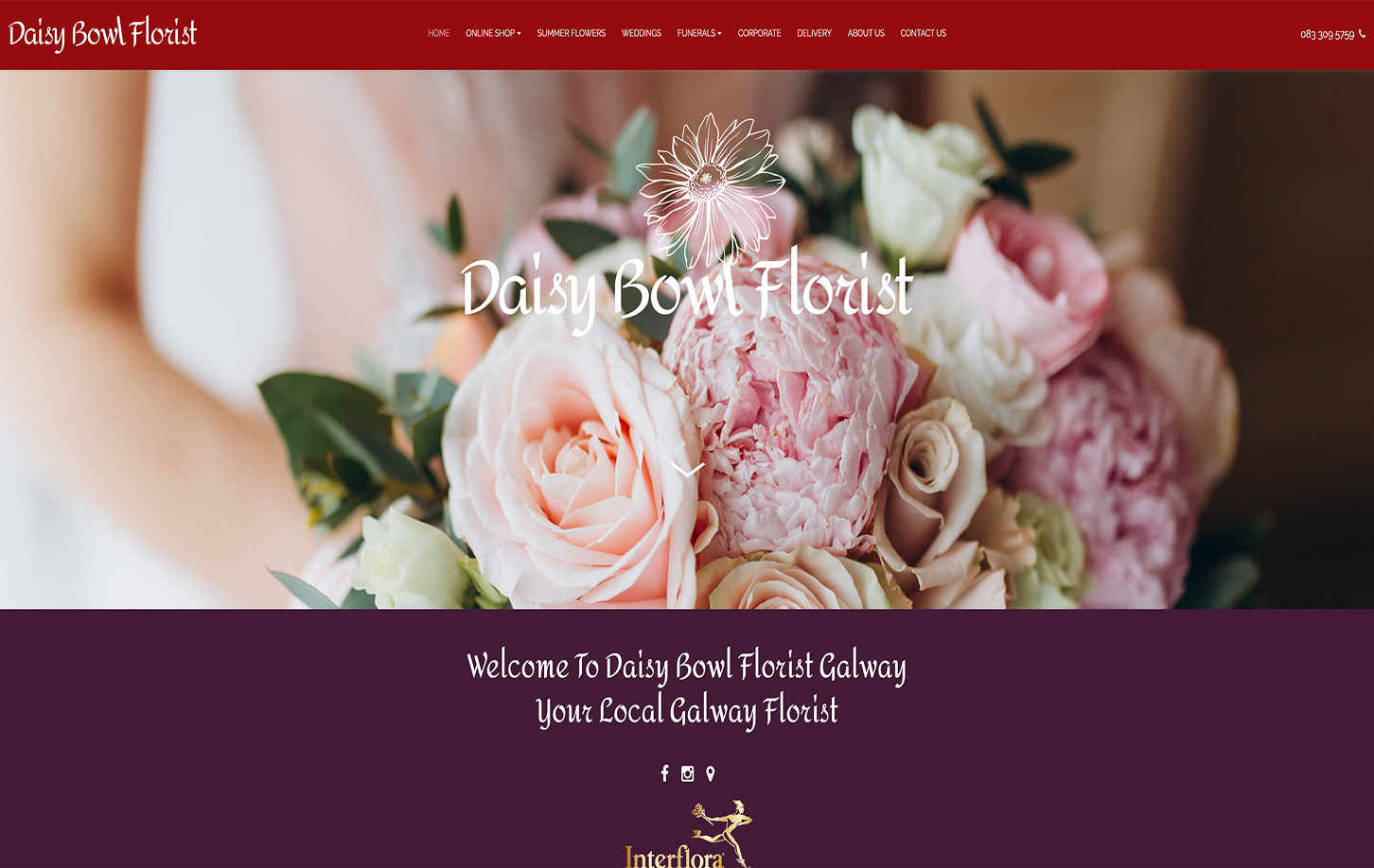 Daisy Bowl Florist